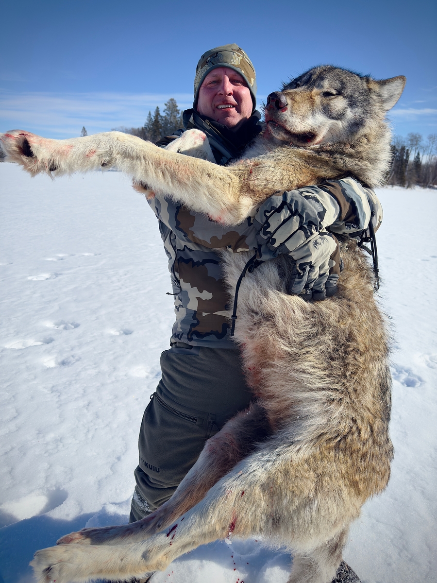 Wolf Hunts