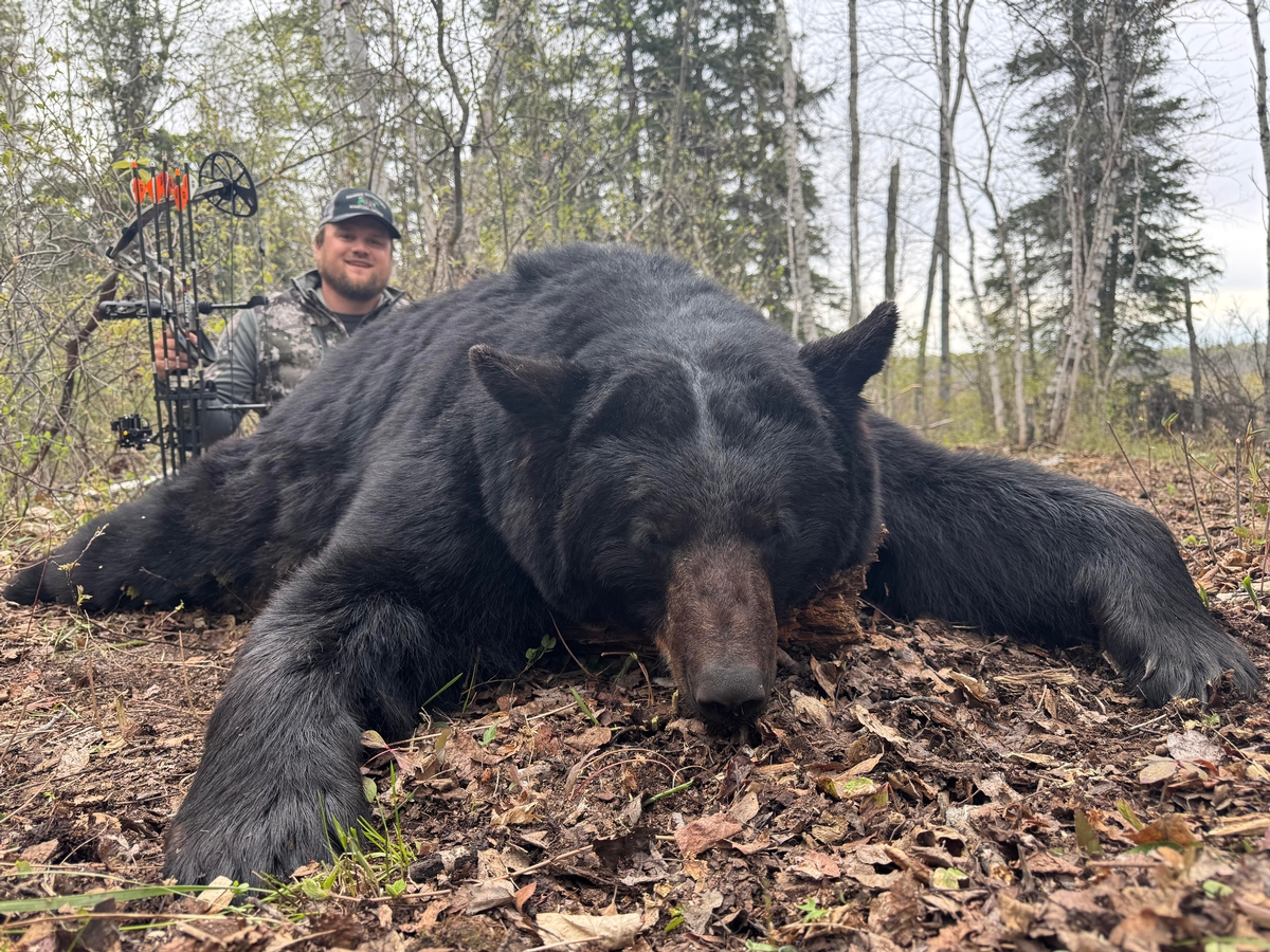 Bear Hunting