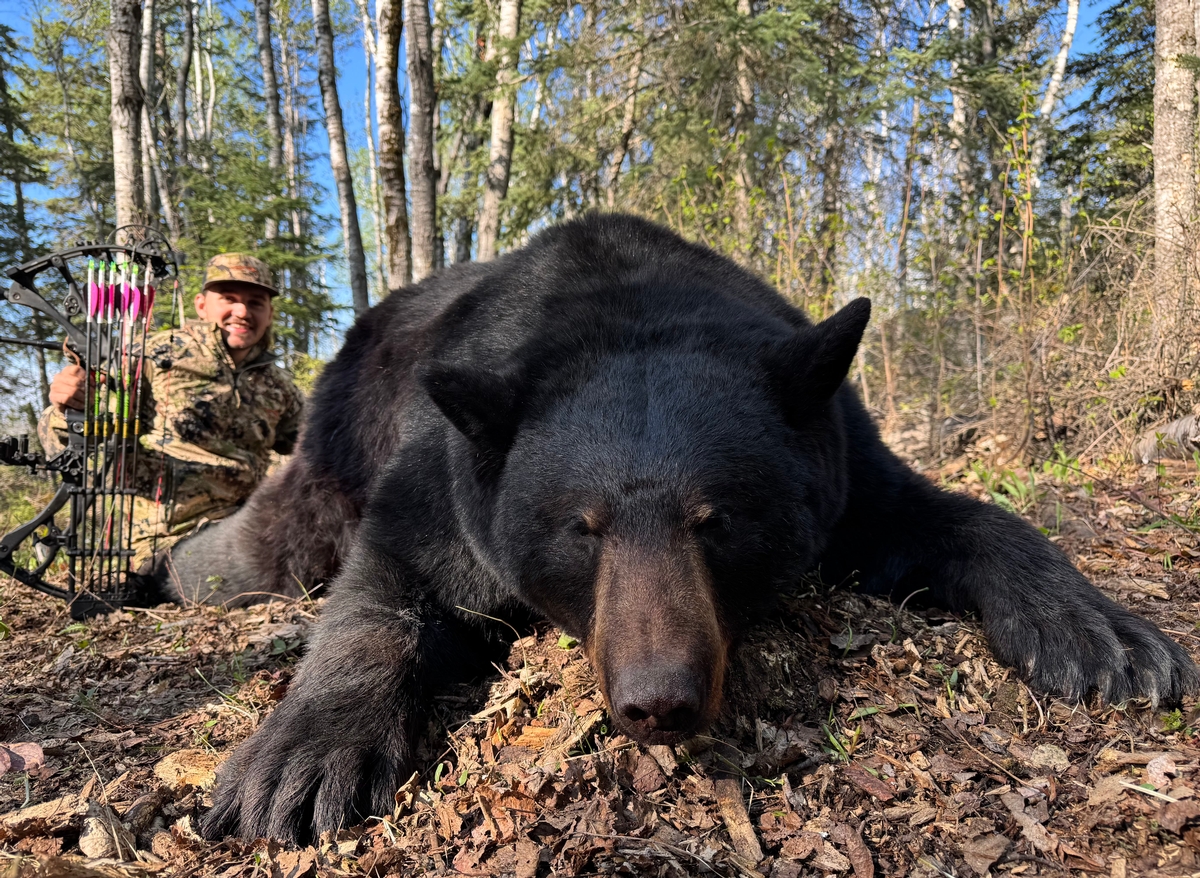 Hunt Black Bear in Manitoba’s Exclusive Northern Interlake Region Hunt Black Bear in Manitoba’s Exclusive Northern Interlake Region
