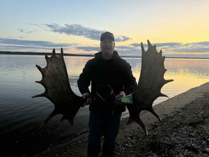 Moose Photos